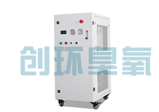 保定石斑鱼养殖水质调控完整指南:臭氧发生器配置与操作步骤
