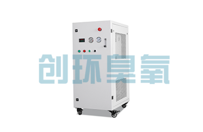 保定比传统换水更高效?臭氧发生器在石斑鱼养殖中的水质净化原理解析